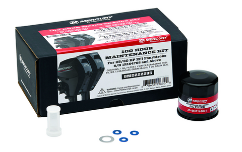 8M0222285 - 100Hour Service Kit 25/30 EFI