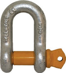 Shackles - Dee Yellow Pin Rated